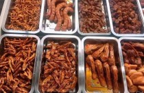 鹵菜創(chuàng)業(yè)從零開(kāi)始？選擇廚仟藝，讓你省心又高效！