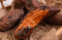 烤紅薯擺攤賺錢嗎？看似平凡的一爐炭火，其實藏著不起眼的賺錢門道！