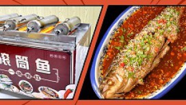 炮筒魚(yú)